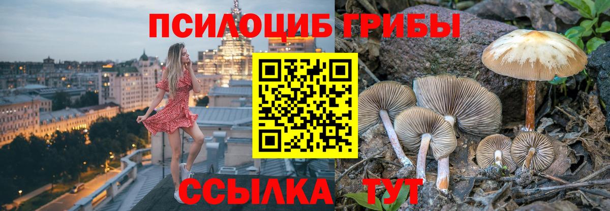 Джанкой  Псилоцибиновые грибы GOLDEN TEACHER  Вход с VPN  Галлюциногенные грибы мухоморы 
